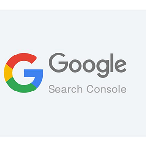 Google Search Console Logo