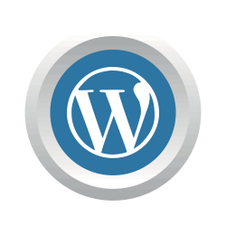 Your WordPress Website